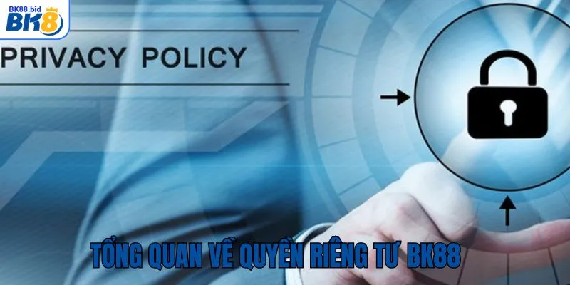 Tổng quan chi tiết quyền riêng tư